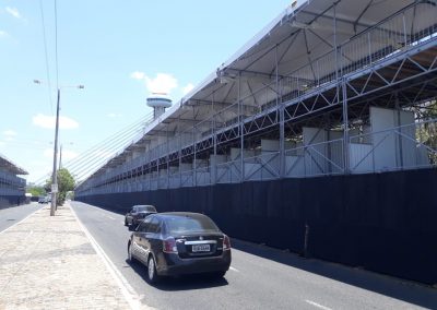 MICARINA 2019 TERESINA8 (1)