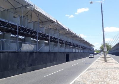 MICARINA 2019 TERESINA9 (1)